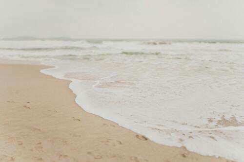 Andrew Cohen