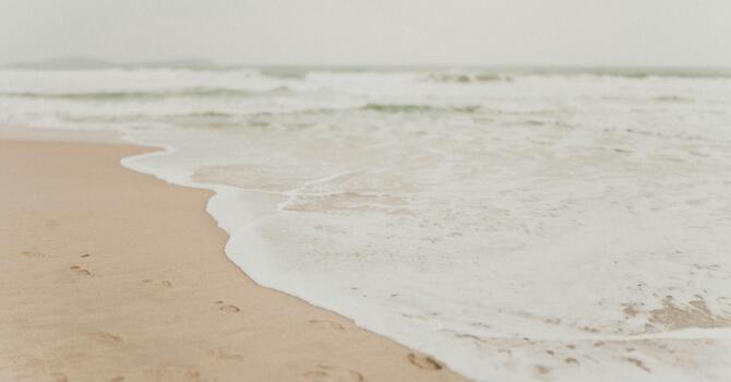 The Importance of Spinal Health for Overall Wellness